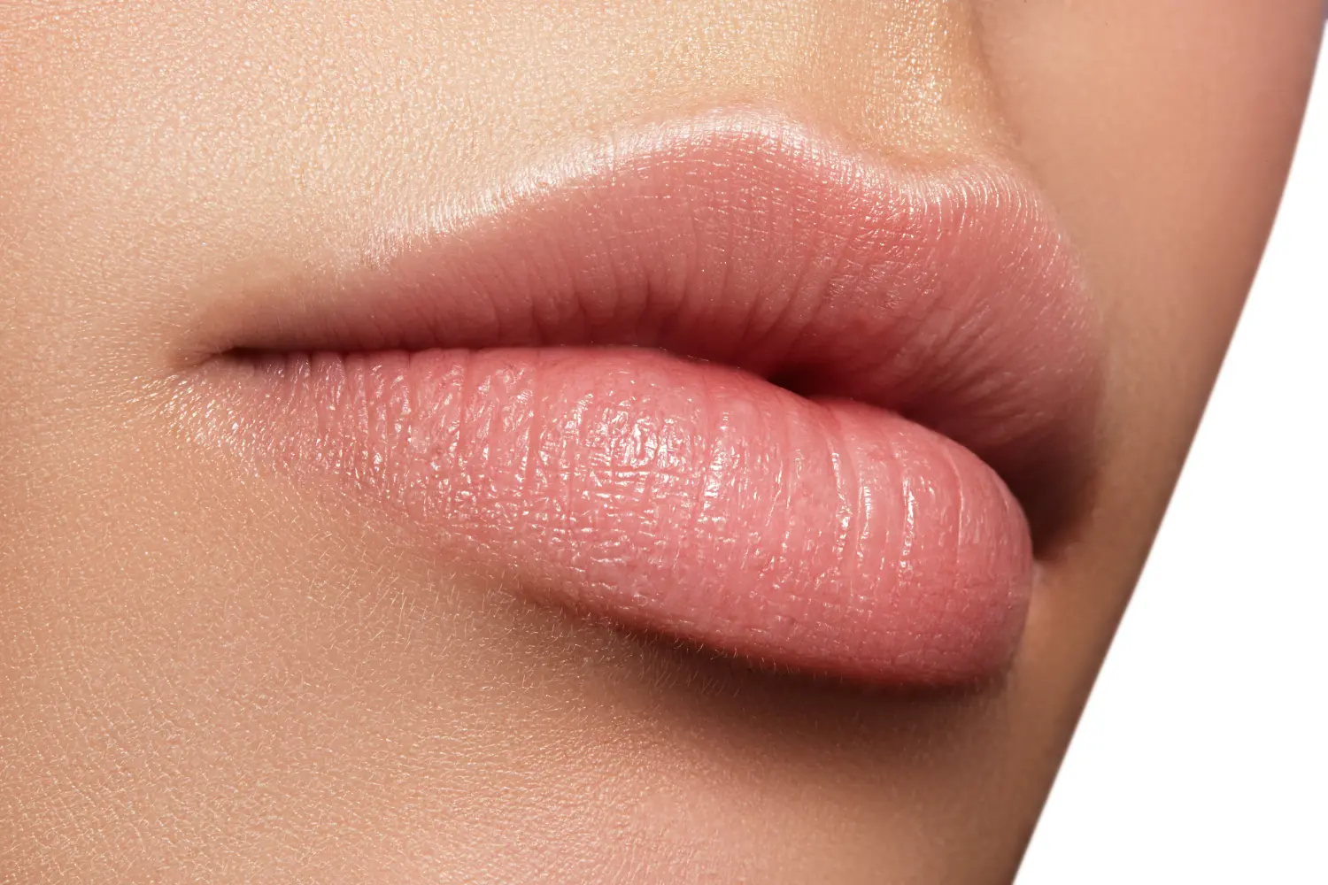 Perfektes natürliches Lippen-Make-up.